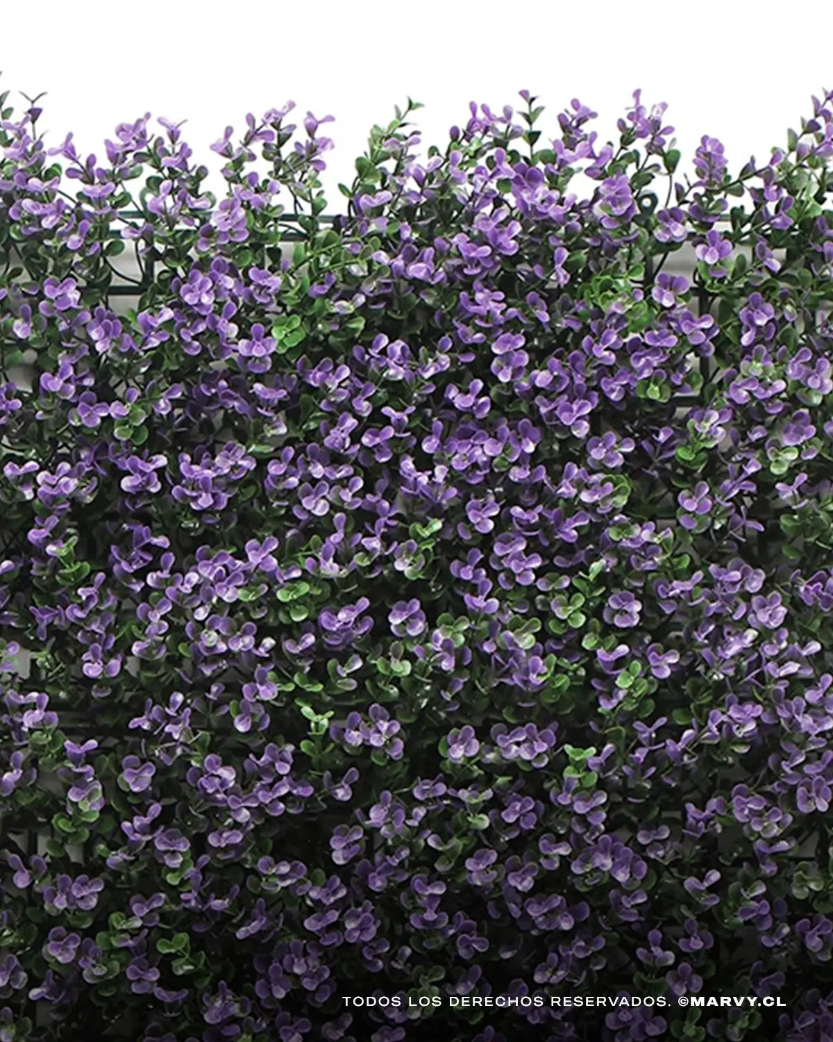 Jardín Vertical 50x50 - Buxus Violeta MARVYTURF