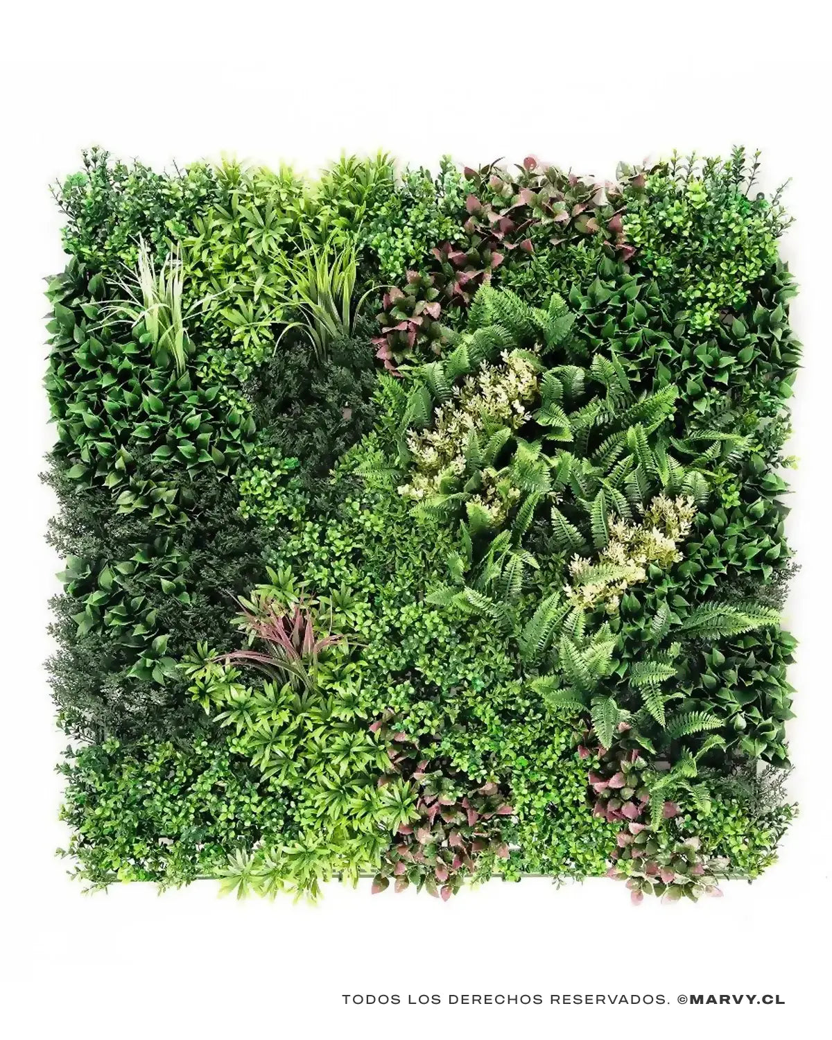 Jardín Vertical 50x50 - Oasis Hera MARVYTURF