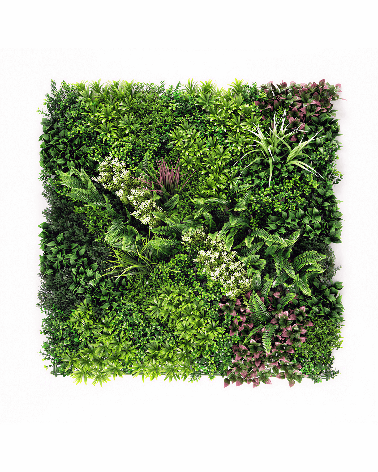 Jardín Vertical 50x50 Oasis Natural Modelo 3