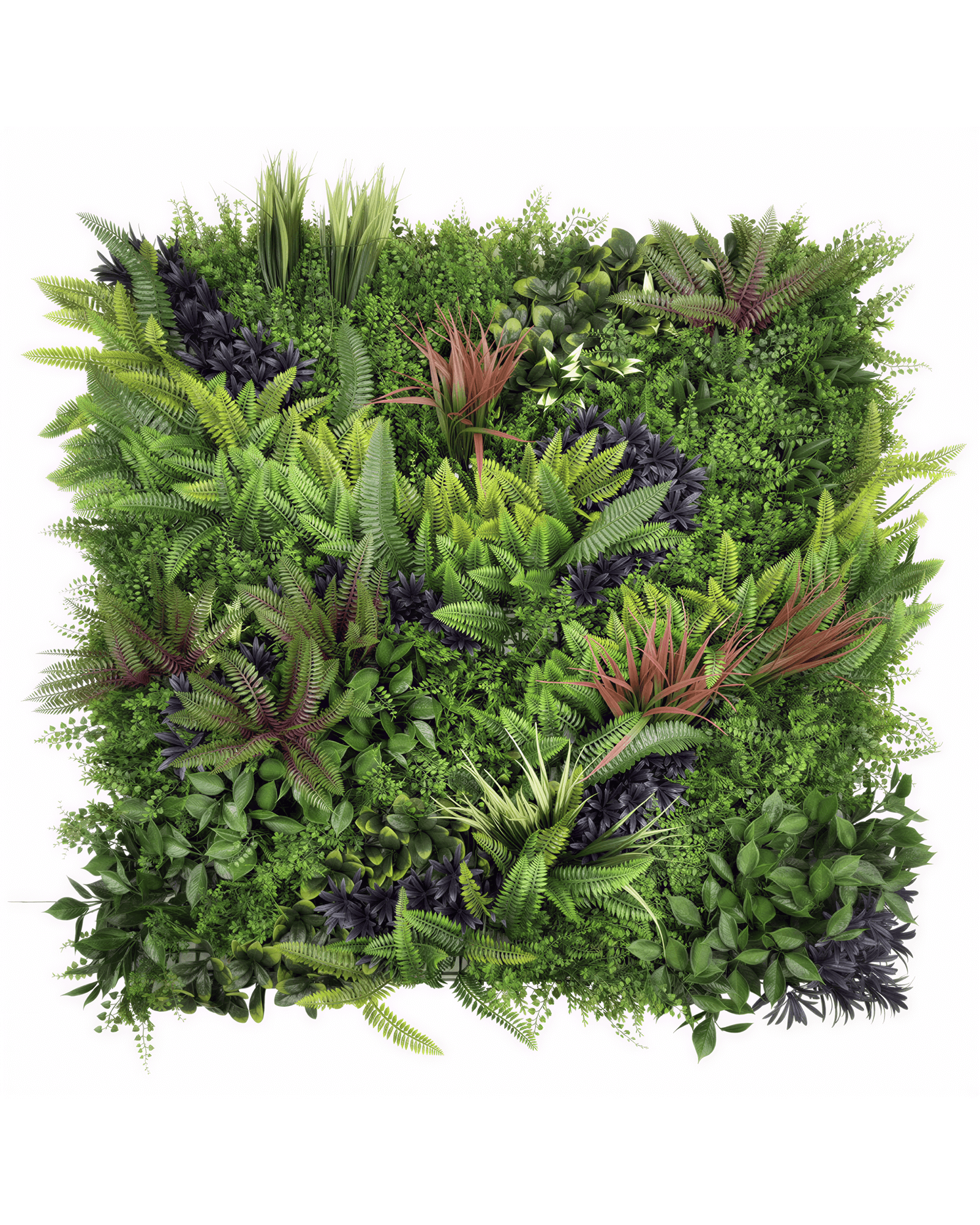 Jardín Vertical 50x50 Oasis Tropical Modelo 3