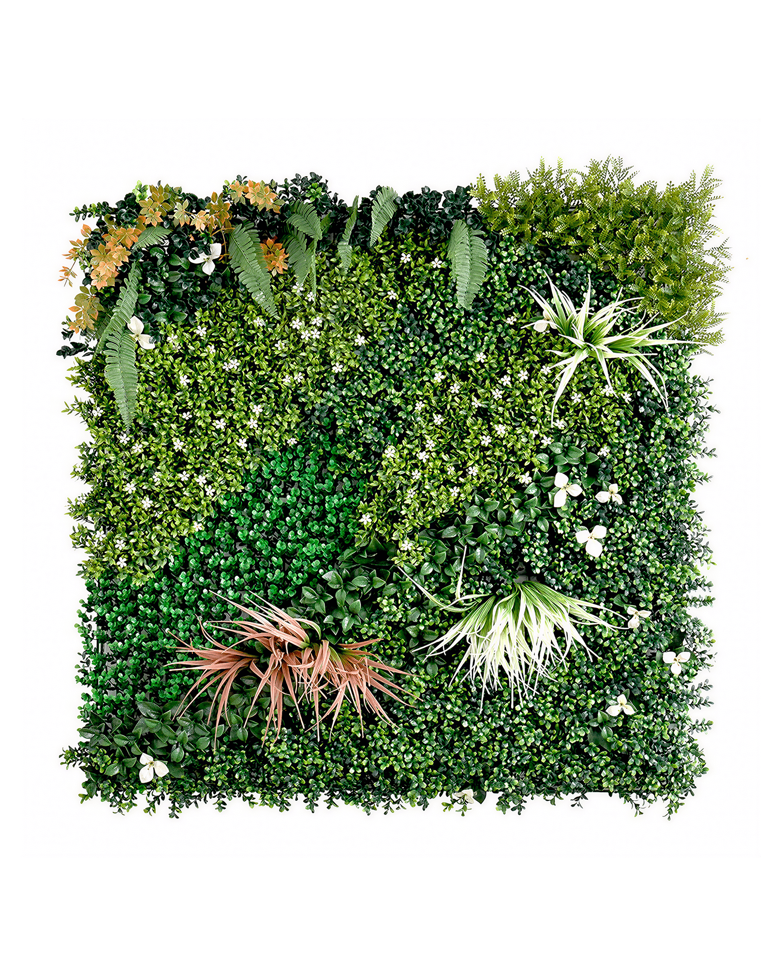 Jardín Vertical 50x50 - Oasis Orange (Edición Limitada)