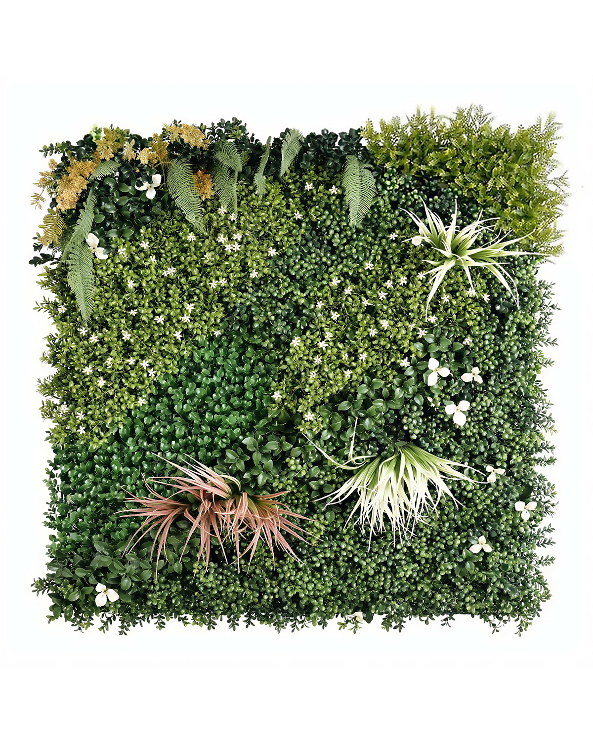 Jardín Vertical 50x50 - Oasis Orange