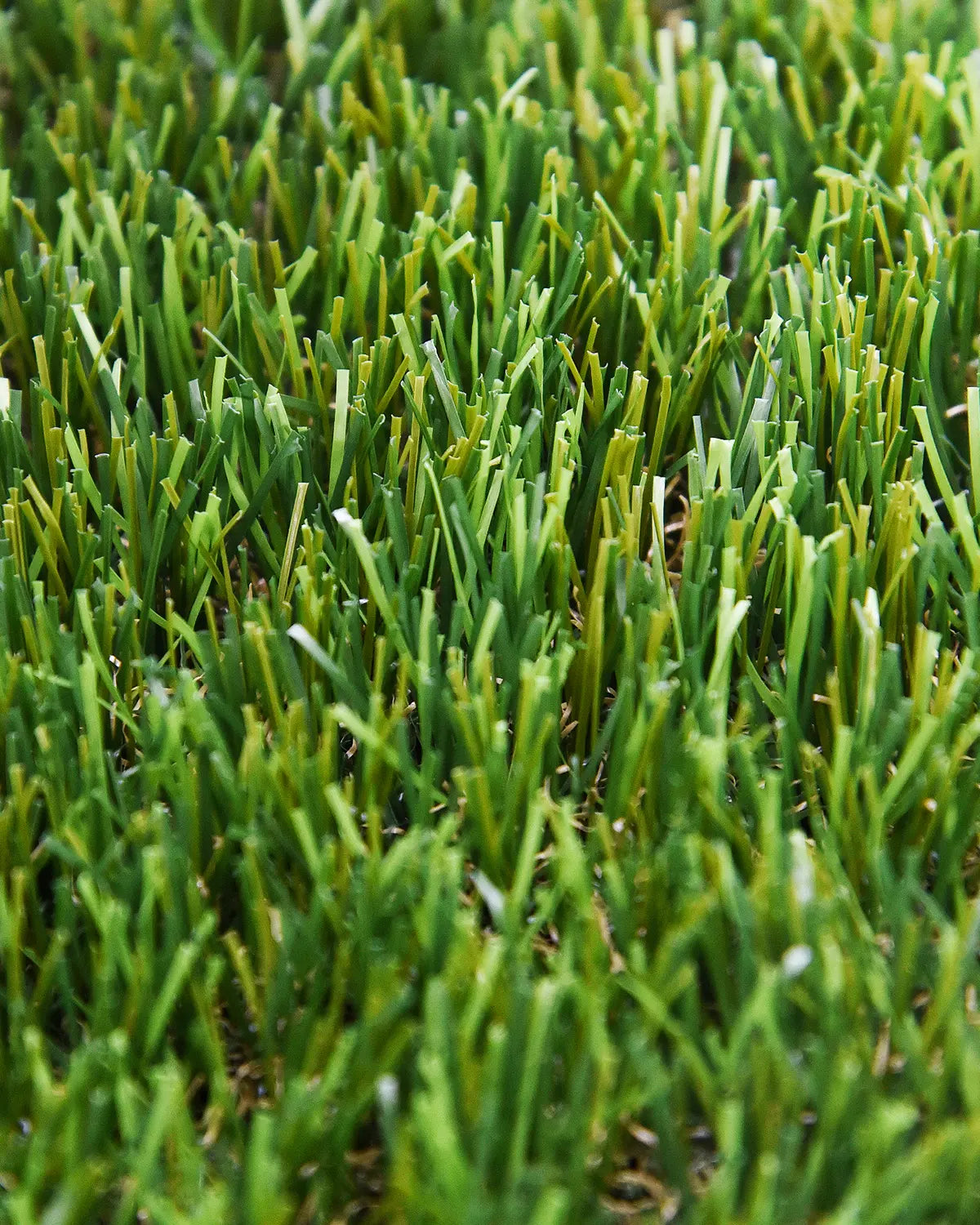 Pasto Sintético Royal 40mm. MARVYTURF