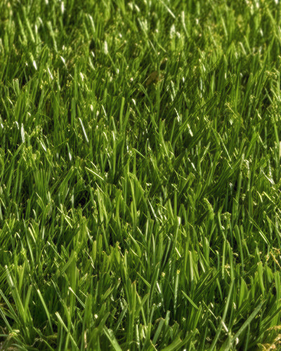 Pasto Sintético Nature Pro 30mm. MARVYTURF