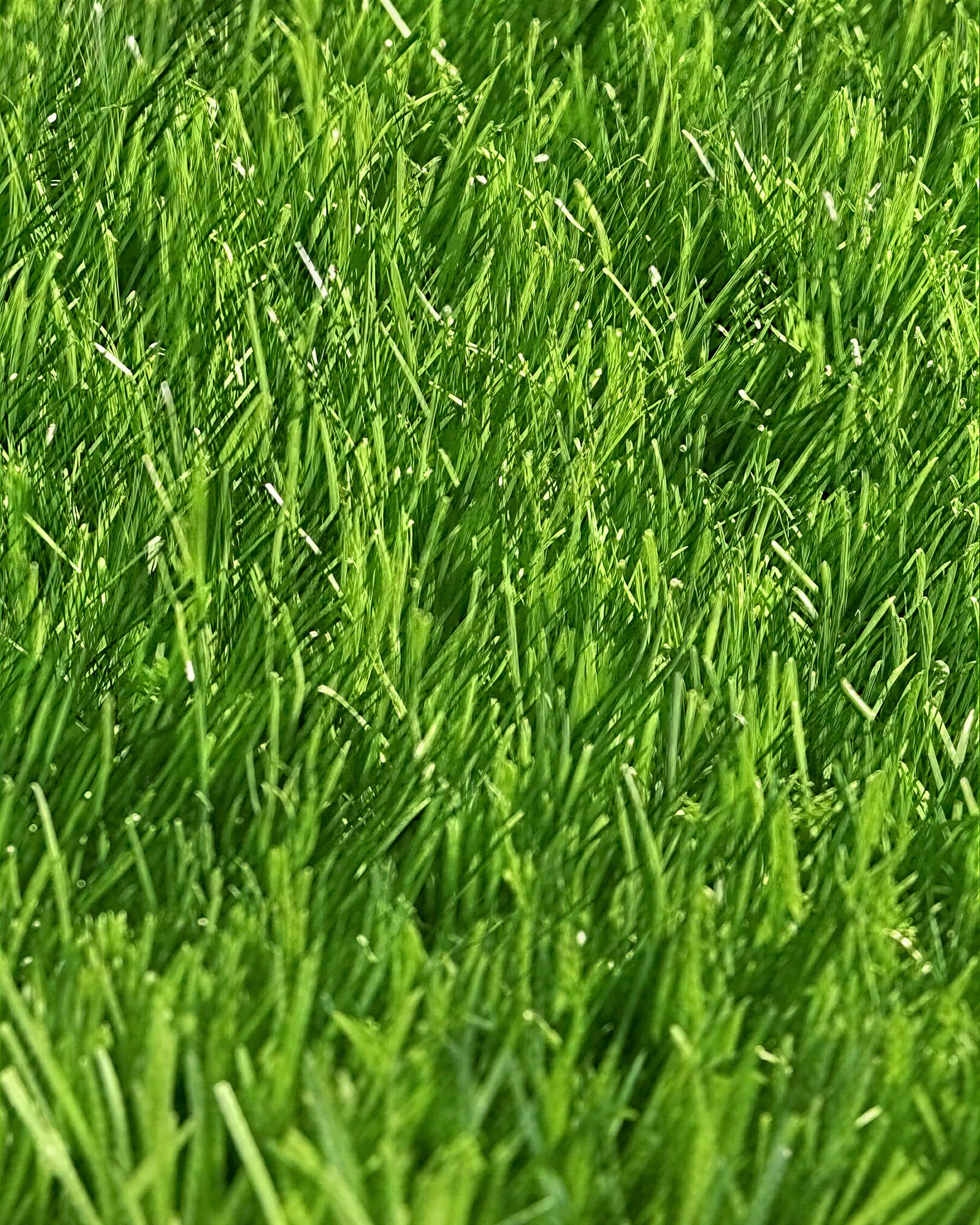 Pasto Sintético Nature 40mm. MARVYTURF