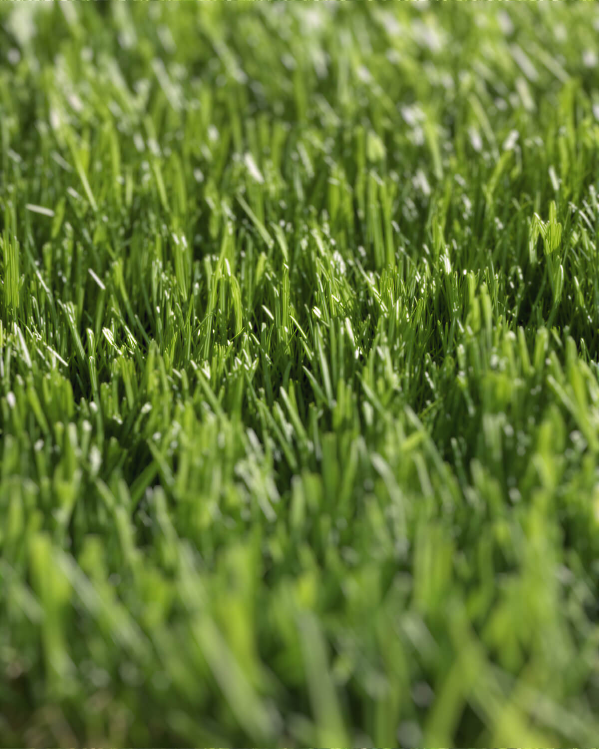 Pasto Sintético Nature Pro 40mm. MARVYTURF