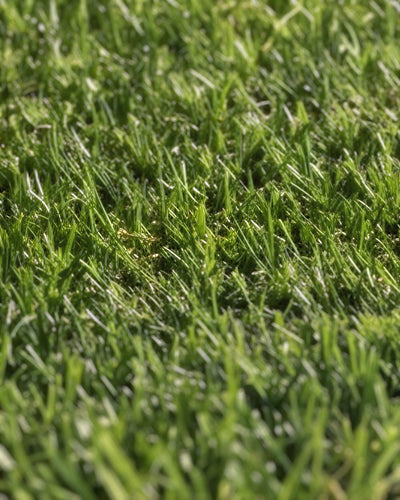 Pasto Sintético Nature Pro 20mm. MARVYTURF