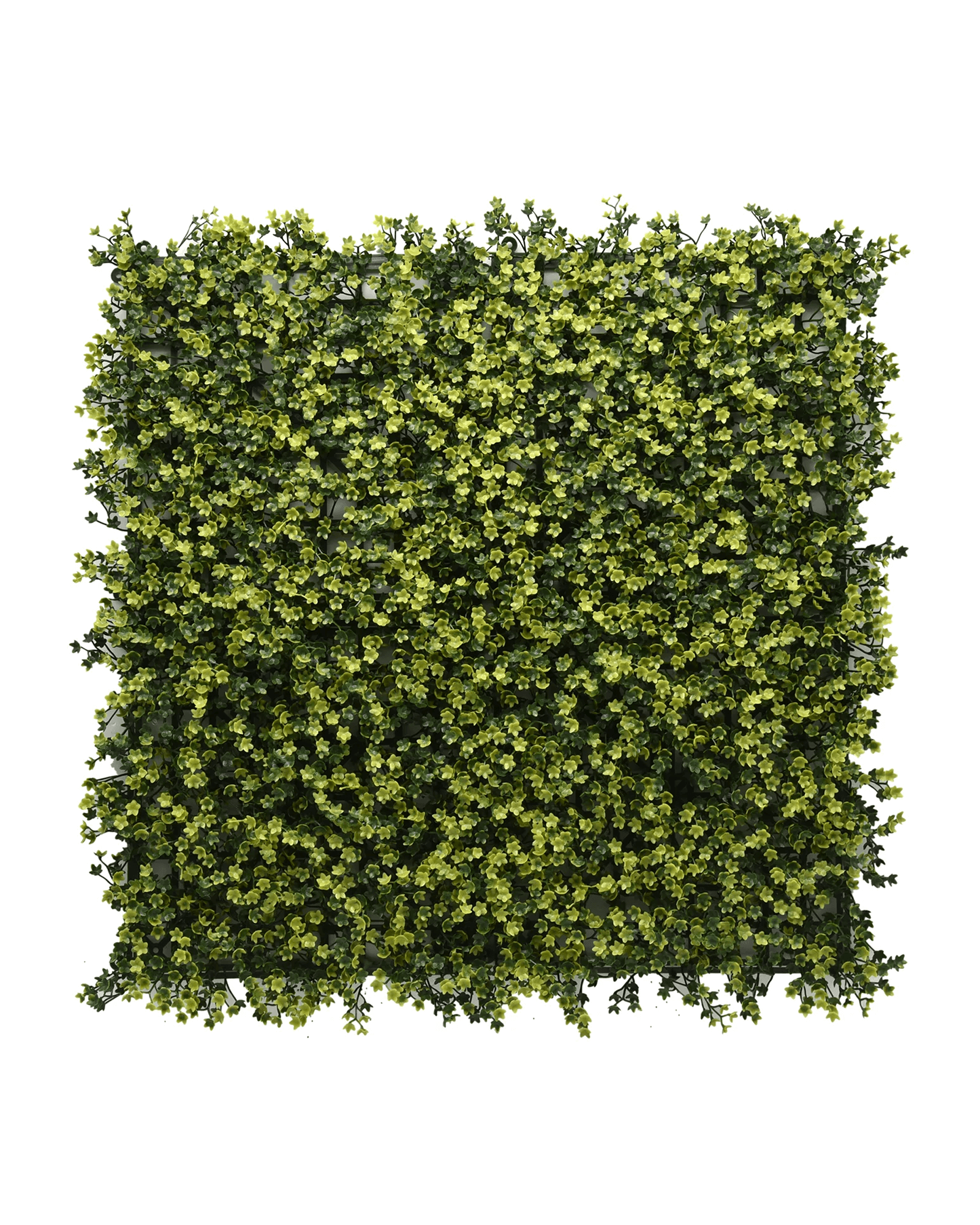 Jardín Vertical 50x50 - Aura Dorada