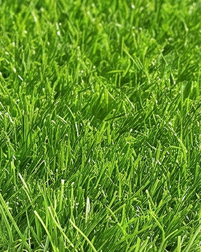 Pasto Sintético Nature 30mm. MARVYTURF
