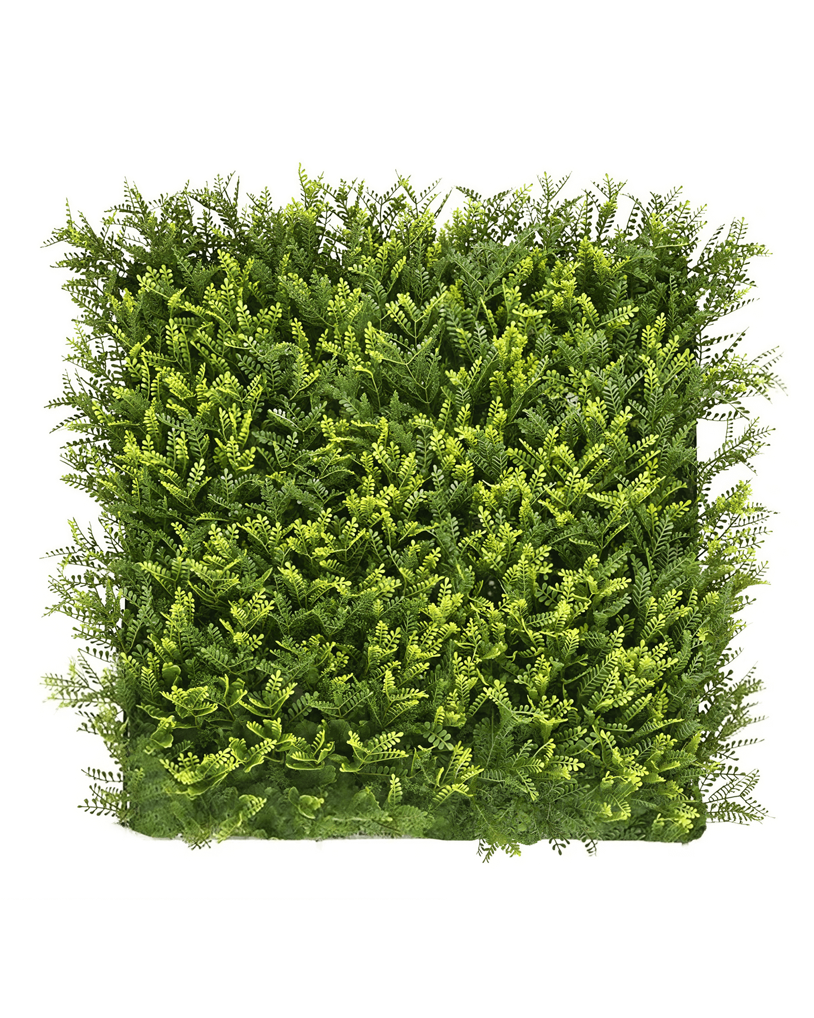 Jardín Vertical 50x50 - Brisa Tropical