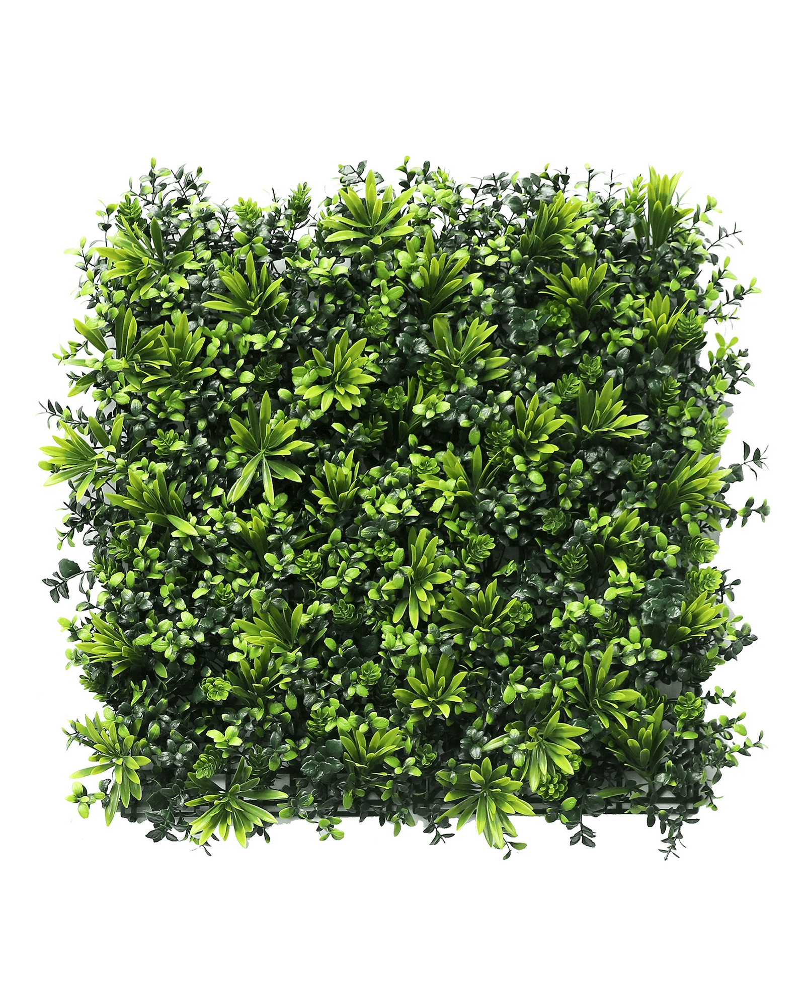 Jardín Vertical 50x50 - Canto Verde