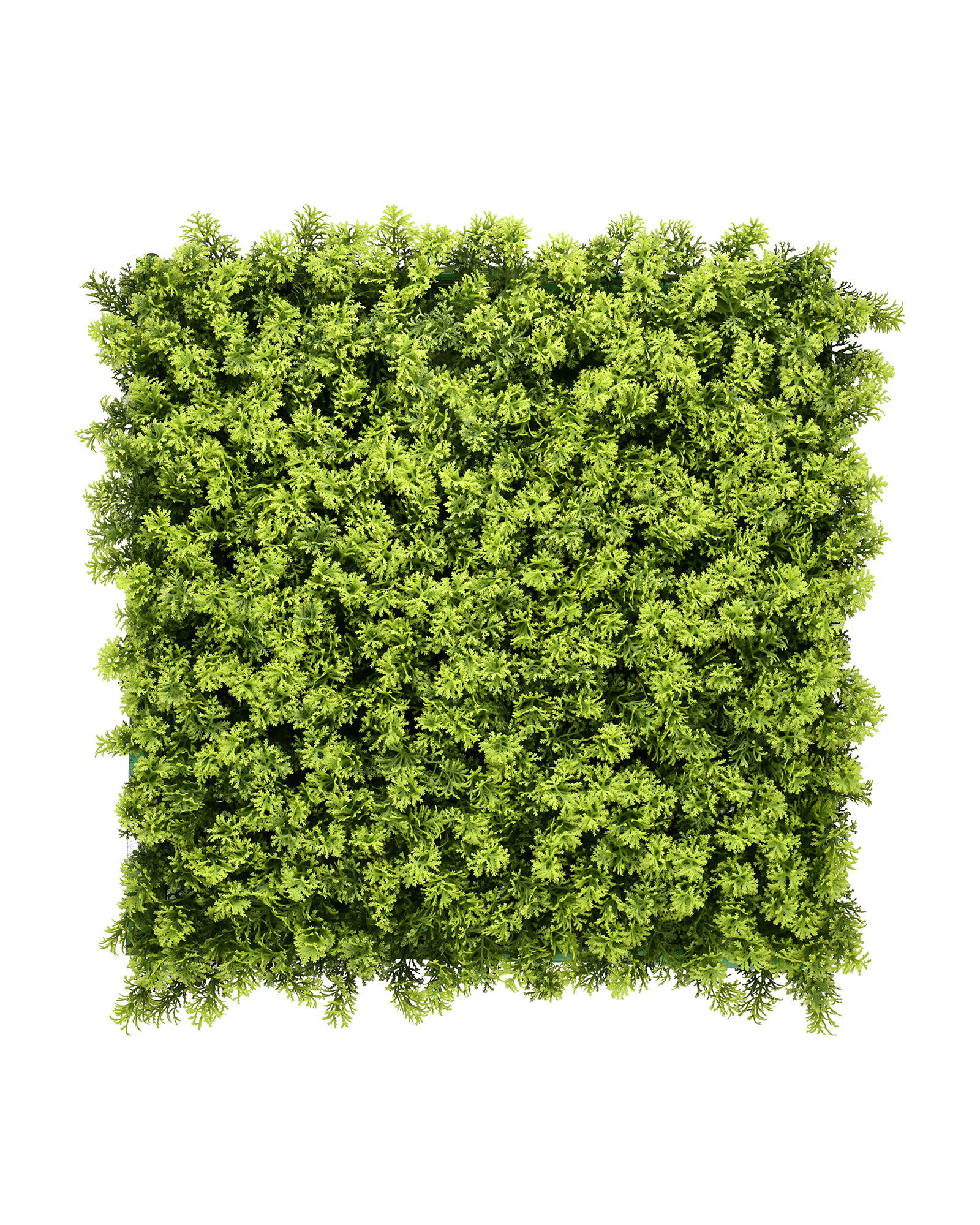 Jardín Vertical 50x50 - Encanto Silvestre