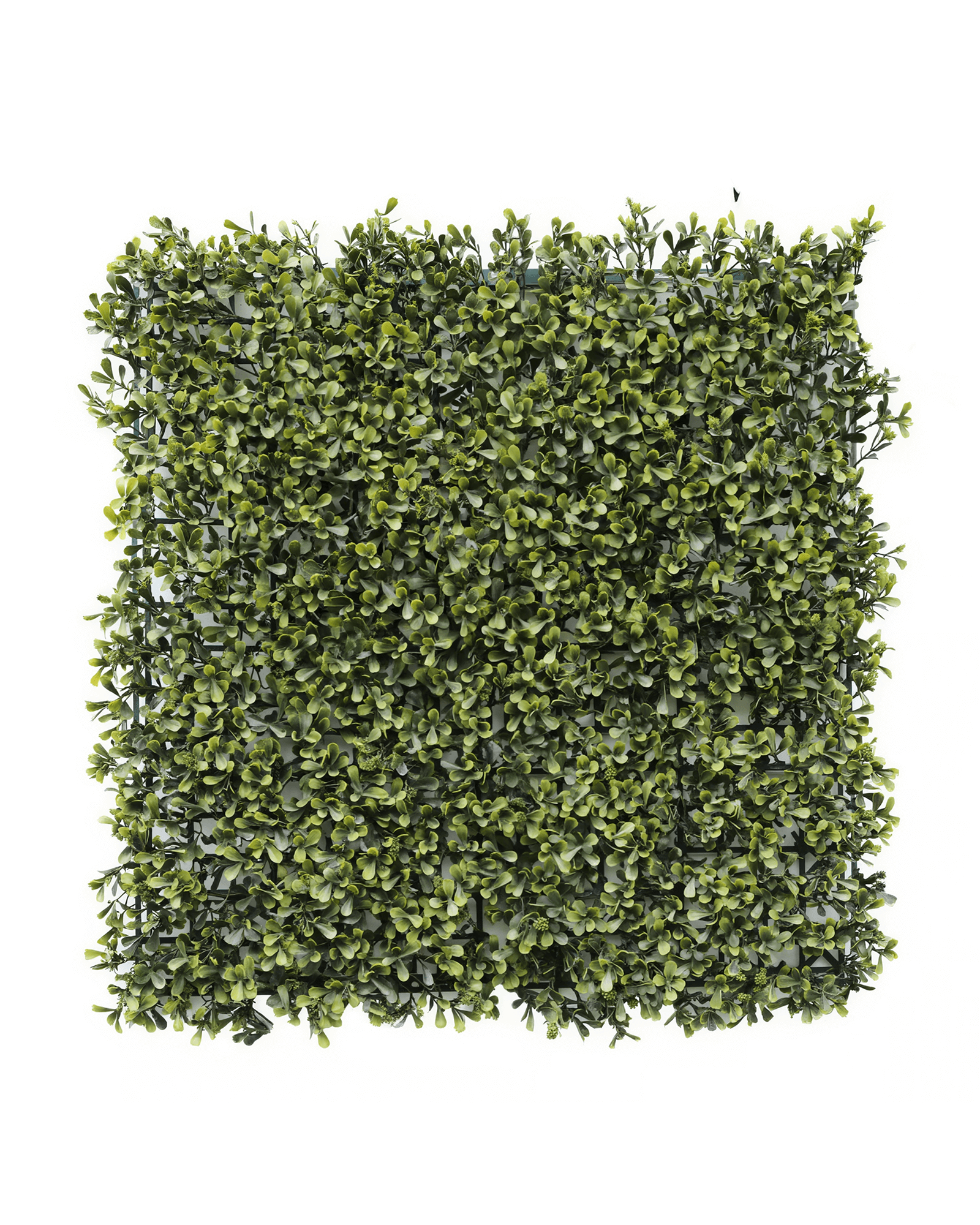 Jardín Vertical 50x50 - Verde Jade