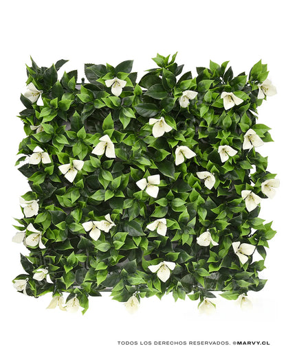 Jardín Vertical 50x50 - Buganvilia MARVYTURF