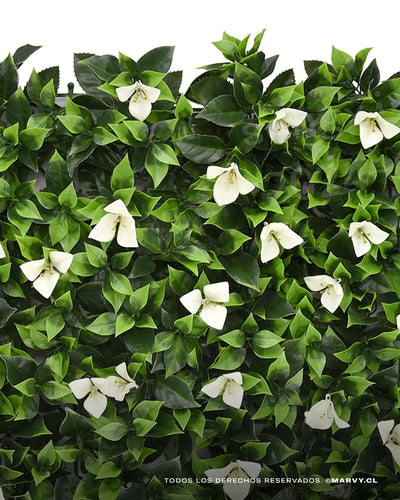 Jardín Vertical 50x50 - Buganvilia MARVYTURF