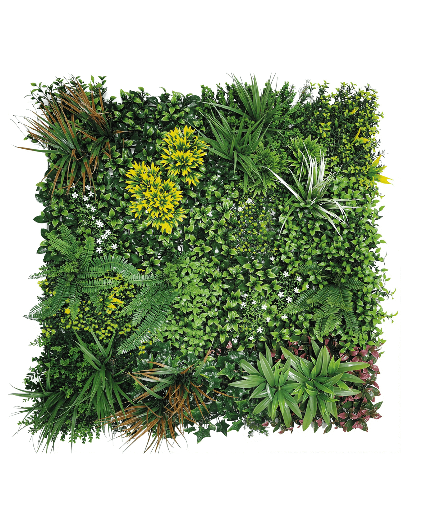 Jardín Vertical 50x50 - Jardin De Primavera