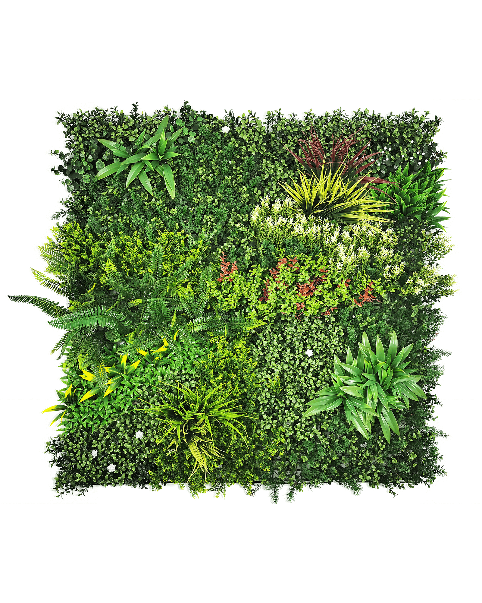 Jardín Vertical 50x50 - Jardin Encantado