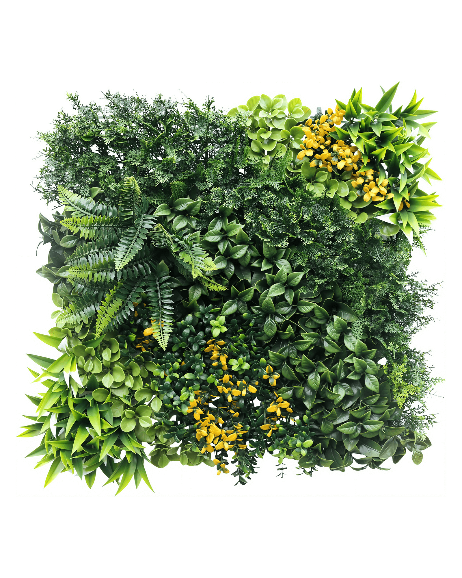 Jardín Vertical 50x50 - Multielement
