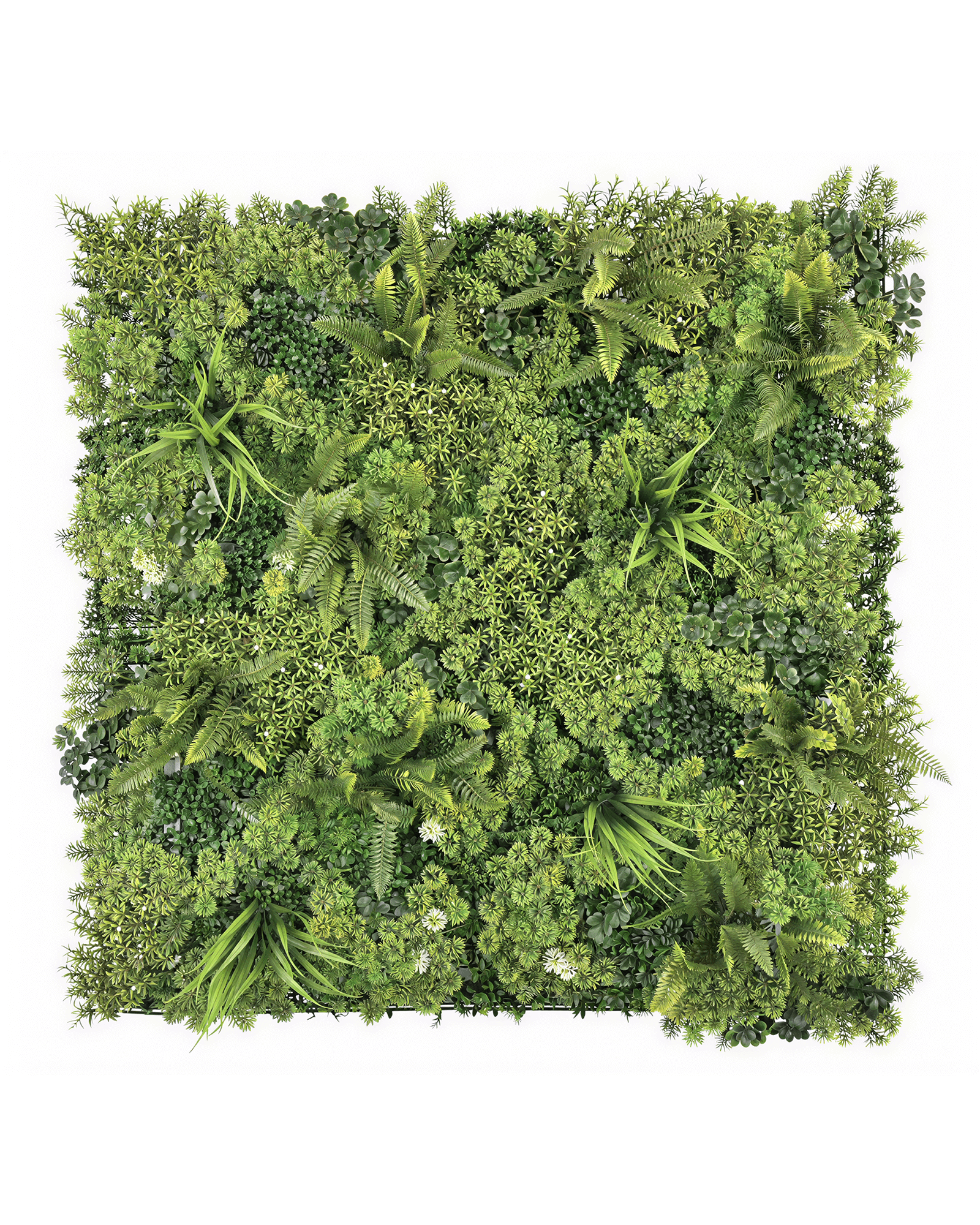 Jardín Vertical 50x50 - Musgo Salvaje