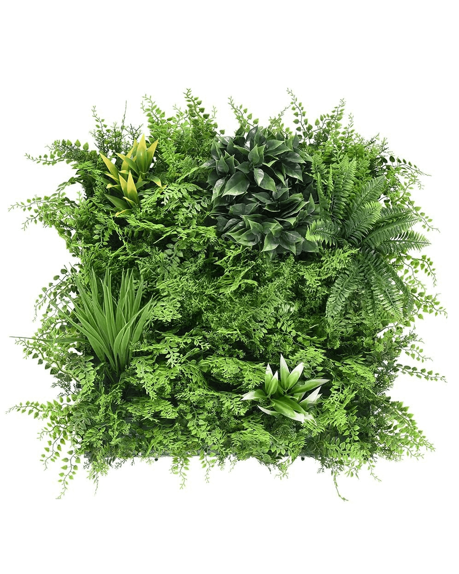 Jardín Vertical 50x50 - Selvatico Vivo