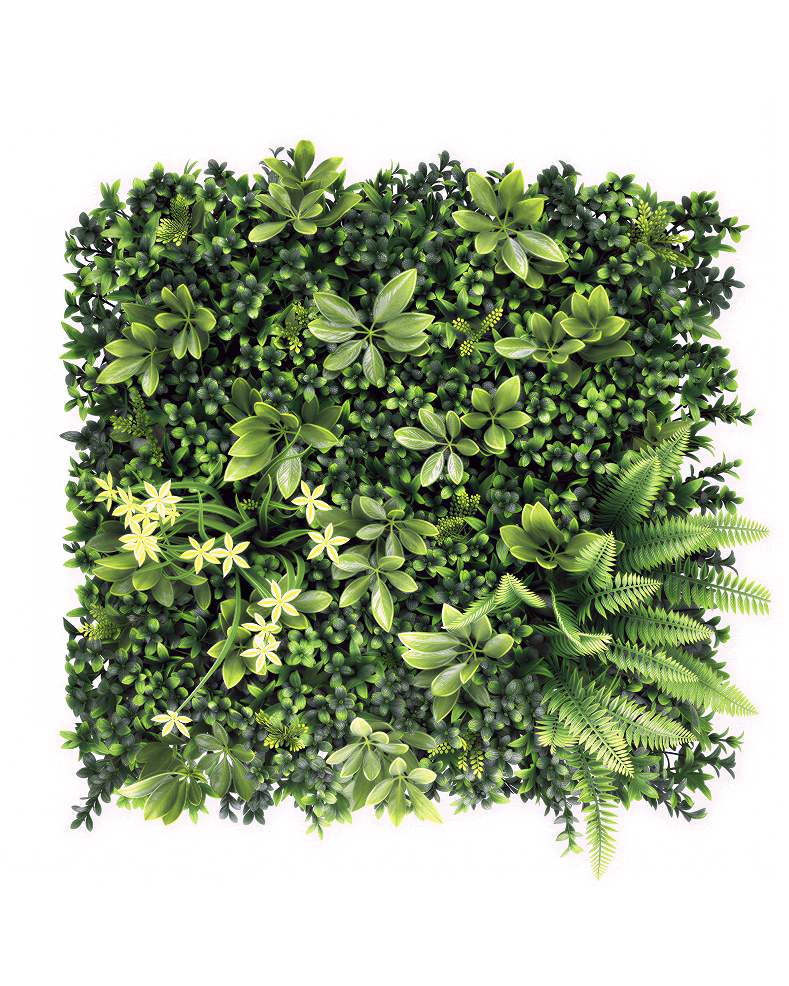 Jardín Vertical 50x50 - Verde Resplandor