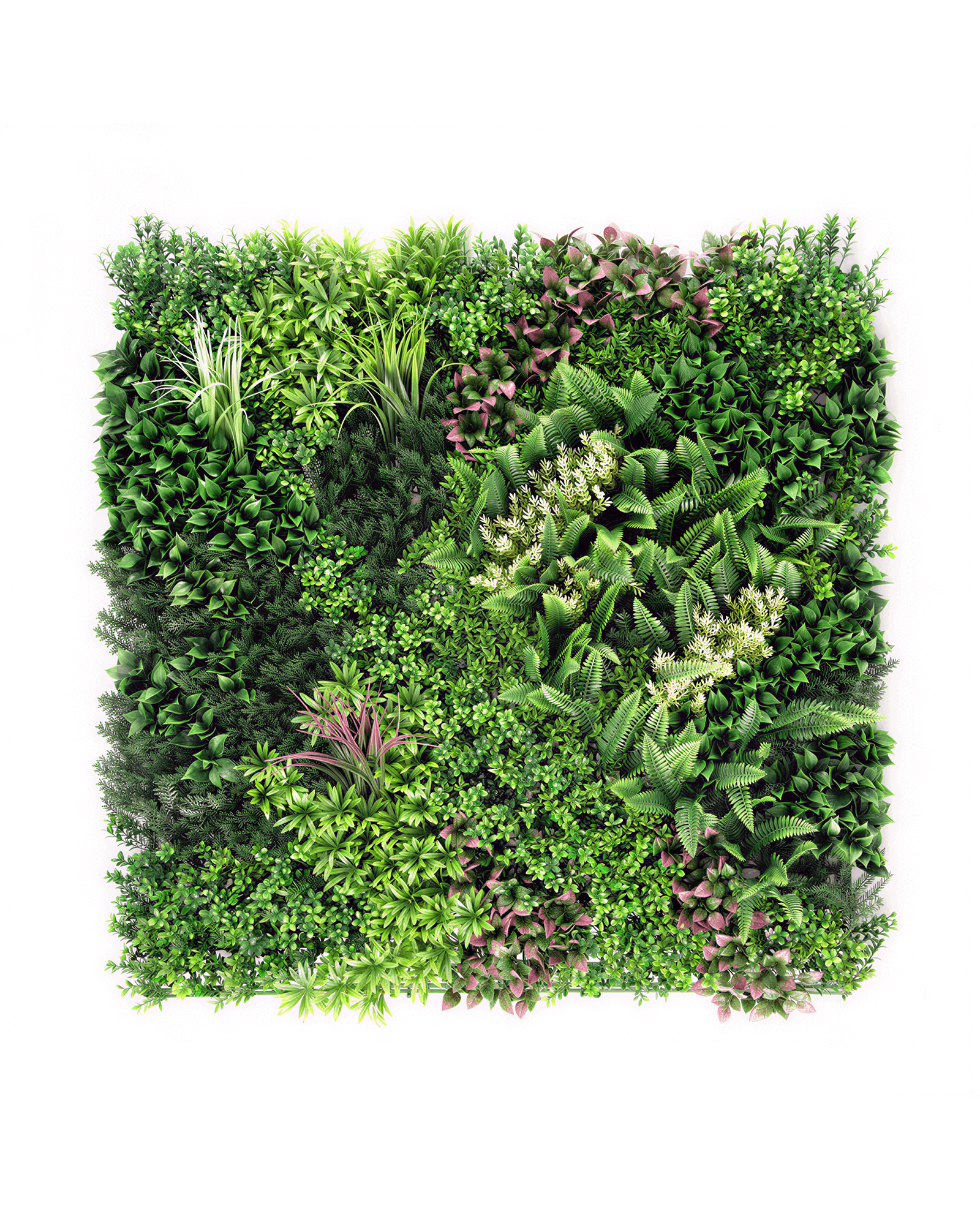 Jardín Vertical 50x50 Oasis Natural Modelo 2
