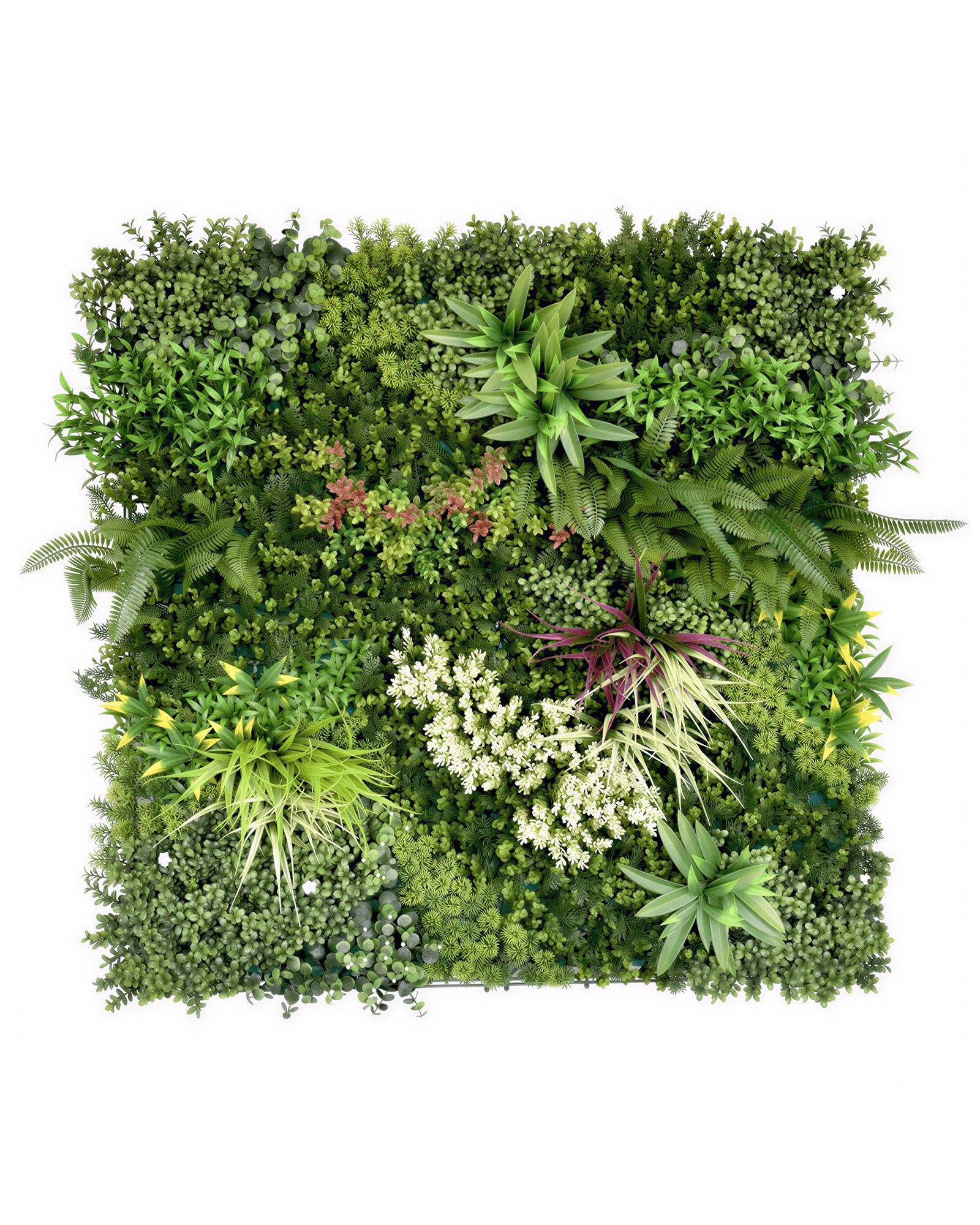 Jardín Vertical 50x50 Oasis Silvestre Modelo 2