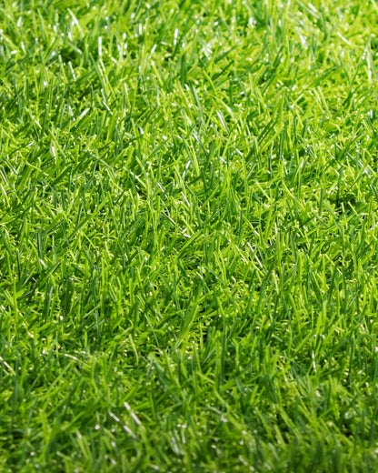 Pasto Sintético Basic 15mm. MARVYTURF