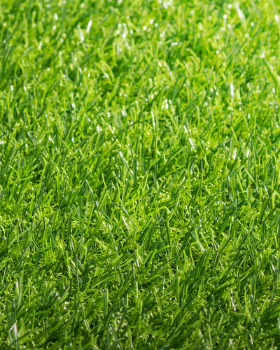 Pasto Sintético Basic 20mm. MARVYTURF