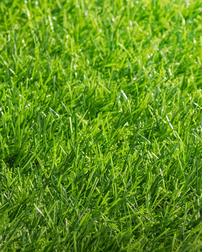 Pasto Sintético Basic 25mm. MARVYTURF