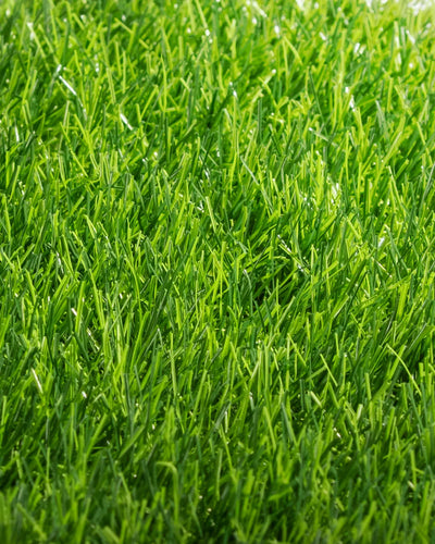 Pasto Sintético Basic 35mm. MARVYTURF