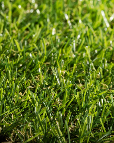 Pasto Sintético Basic Prime 15mm. MARVYTURF