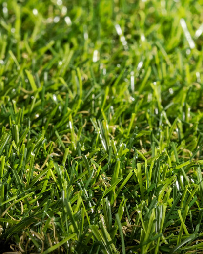 Pasto Sintético Basic Prime 15mm. MARVYTURF