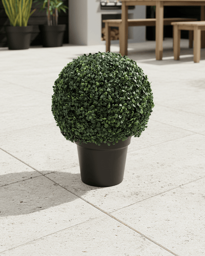 Árboles Decorativos - Jade 50 CM