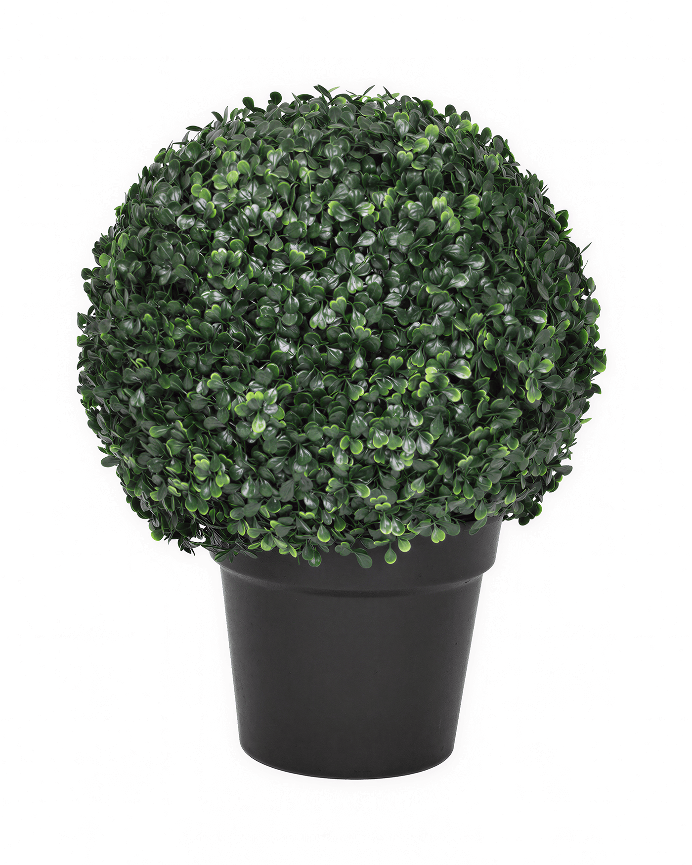 Árboles Decorativos - Jade 50 CM