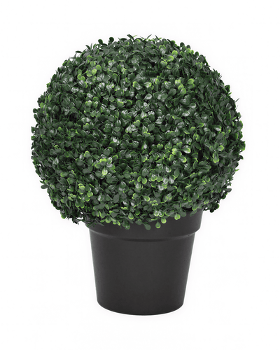 Árboles Decorativos - Jade 50 CM