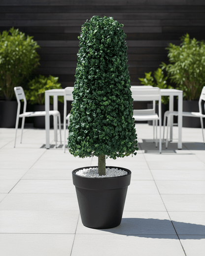 Árboles Decorativos - Jade 80 CM