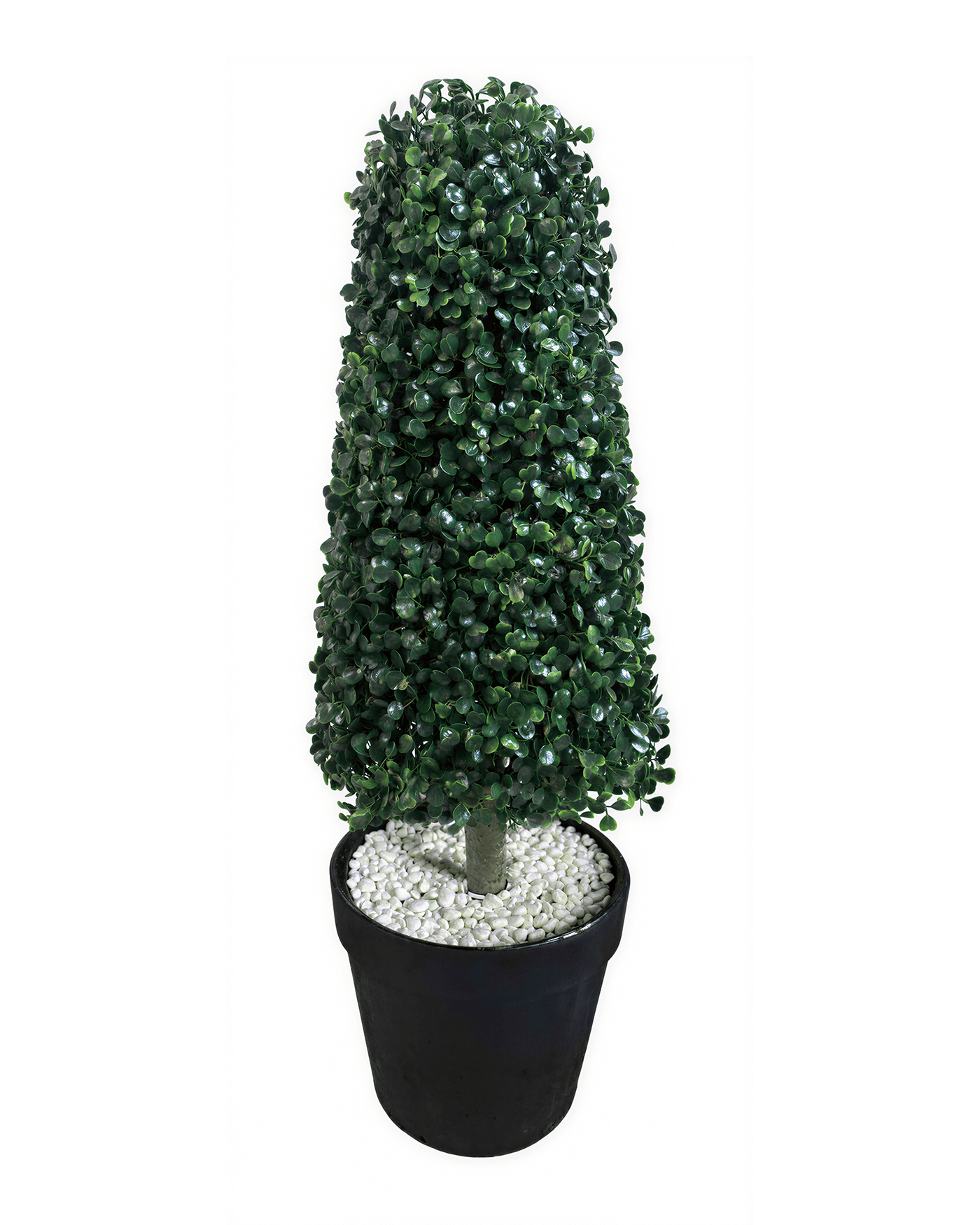 Árboles Decorativos - Jade 80 CM
