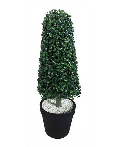 Árboles Decorativos - Jade 80 CM