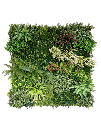 Jardín Vertical 50x50 - Oasis Gaea